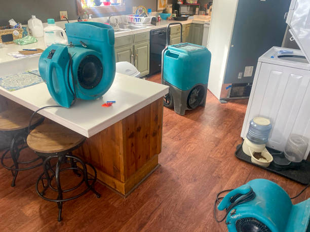 Best Mold removal after water damage  in Fairplay, GA
