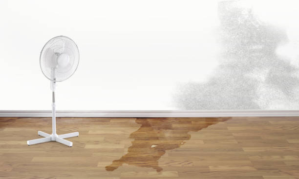 Best Flood damage cleanup  in Fairplay, GA