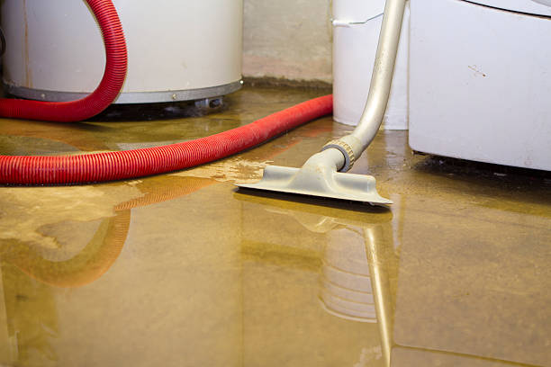 Best Flooded house restoration  in Fairplay, GA