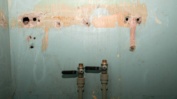 Best Fire Damage Restoration  in Fairplay, GA