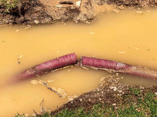 Best Local water damage restoration  in Fairplay, GA